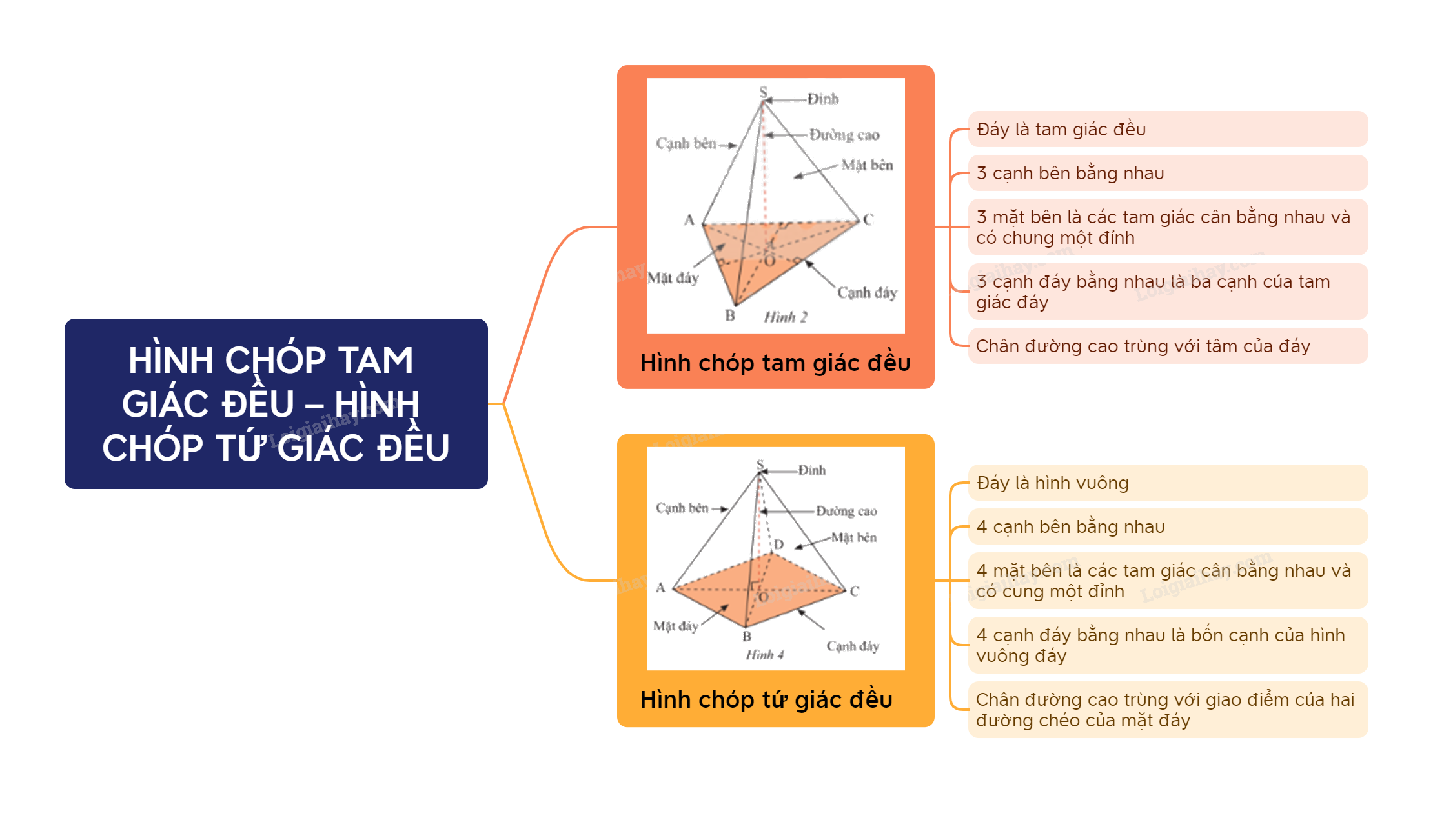 Lý thuyết Hình chóp tam giác đều - hình chóp tứ giác đều SGK Toán 8 - Cùng khám phá 3
