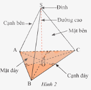 Lý thuyết Hình chóp tam giác đều SGK Toán 8 - Cánh diều 1
