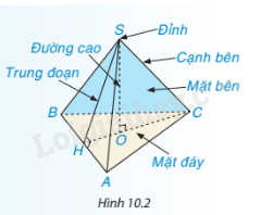 Lý thuyết Hình chóp tam giác đều SGK Toán 8 - Kết nối tri thức 1