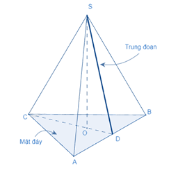 Lý thuyết Hình chóp tam giác đều SGK Toán 8 - Kết nối tri thức 2