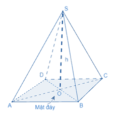 Lý thuyết Hình chóp tứ giác đều SGK Toán 8 - Kết nối tri thức 3