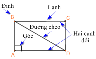 Lý thuyết Hình chữ nhật. Hình thoi Toán 6 Cánh diều 1