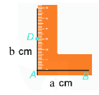 Lý thuyết Hình chữ nhật. Hình thoi Toán 6 Cánh diều 3