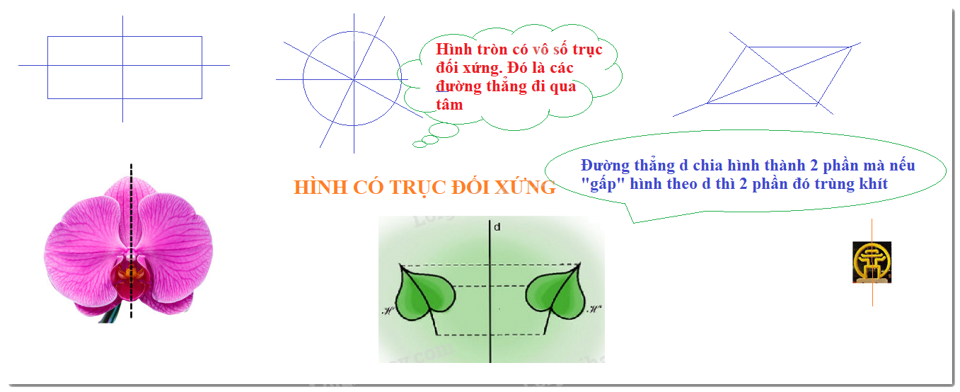 Lý thuyết Hình có trục đối xứng Toán 6 KNTT với cuộc sống 7