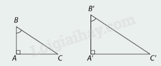 Lý thuyết Hình đồng dạng SGK Toán 8 - Cùng khám phá 1