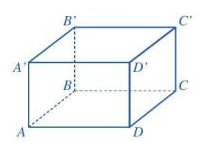 Lý thuyết Hình hộp chữ nhật - Hình lập phương SGK Toán 7 - Chân trời sáng tạo 1