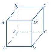 Lý thuyết Hình hộp chữ nhật - Hình lập phương SGK Toán 7 - Chân trời sáng tạo 2