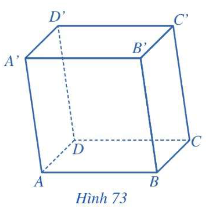 Lý thuyết Hình lăng trụ và hình hộp - SGK Toán 11 Cánh Diều 2