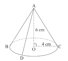 Lý thuyết Hình nón Toán 9 Cánh diều 3
