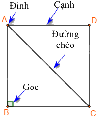 Lý thuyết Hình tam giác đều. Hình vuông, Hình lục giác đều Toán 6 KNTT với cuộc sống 5