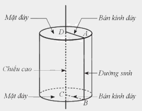 Lý thuyết Hình trụ Toán 9 Cánh diều 2
