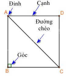 Lý thuyết Hình vuông- Tam giác đều- Lục giác đều Toán 6 Chân trời sáng tạo 1