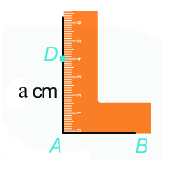 Lý thuyết Hình vuông- Tam giác đều- Lục giác đều Toán 6 Chân trời sáng tạo 4