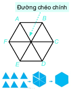 Lý thuyết Hình vuông- Tam giác đều- Lục giác đều Toán 6 Chân trời sáng tạo 9
