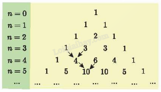 Lý thuyết Nhị thức Newton - SGK Toán 10 Chân trời sáng tạo 1