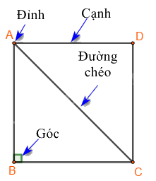Lý thuyết ôn tập chương 3 2