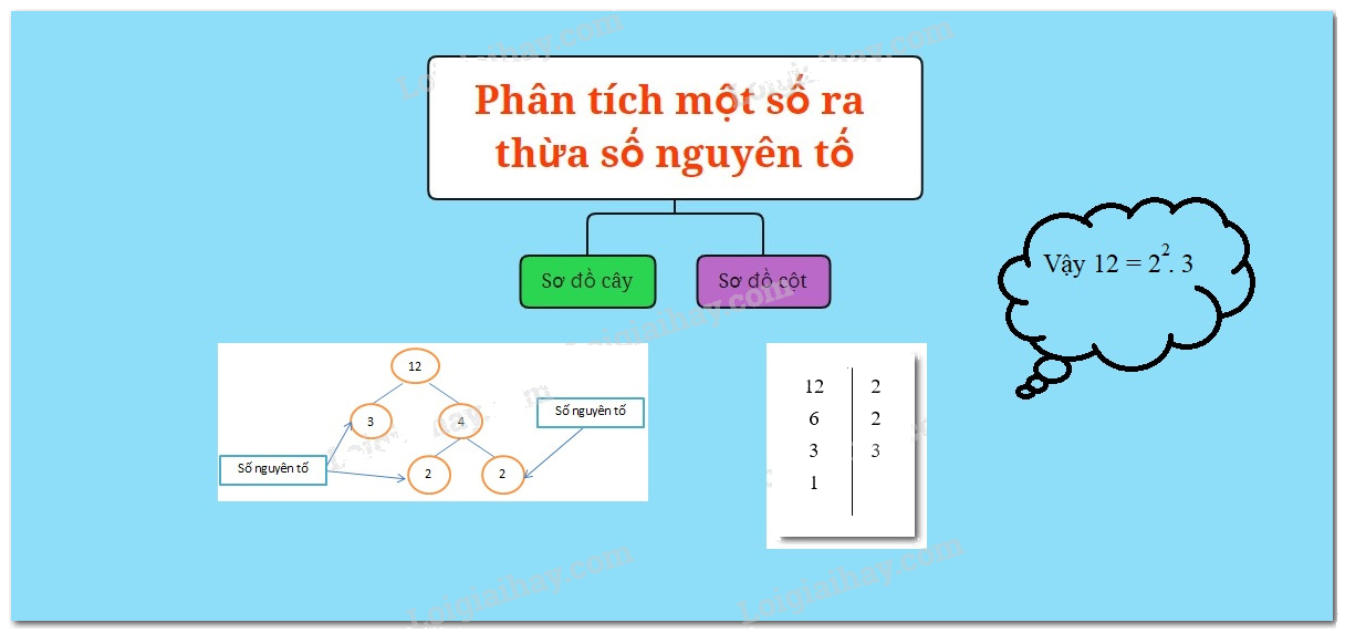 Lý thuyết Phân tích một số ra thừa số nguyên tố Toán 6 Cánh diều 2