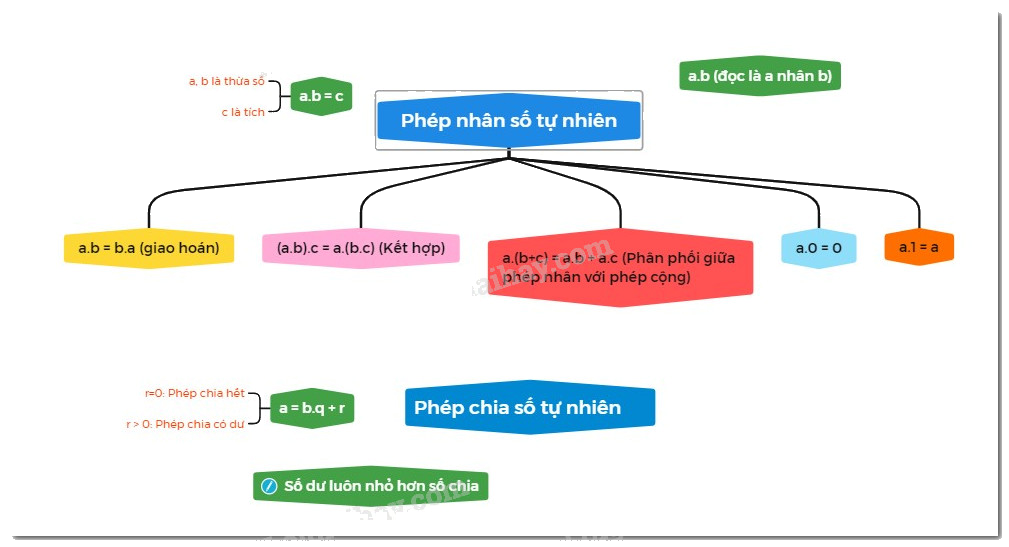 Lý thuyết Phép nhân và phép chia số tự nhiên Toán 6 KNTT với cuộc sống 4