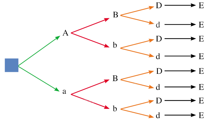Lý thuyết Quy tắc đếm - SGK Toán 10 Kết nối tri thức 3