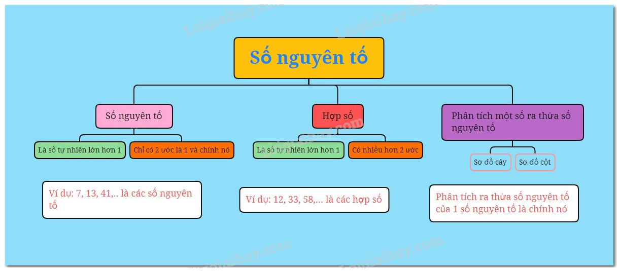 Lý thuyết Số nguyên tố. Hợp số. Phân tích một số ra thừa số nguyên tố Toán 6 Chân trời sáng tạo 1