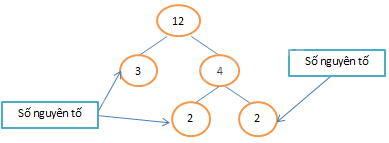 Lý thuyết Số nguyên tố Toán 6 KNTT với cuộc sống 1