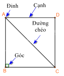 Lý thuyết Tam giác đều. Hình vuông. Lục giác đều Toán 6 Cánh diều 3