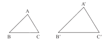 Lý thuyết Tam giác đồng dạng SGK Toán 8 - Cánh diều 1