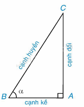 Lý thuyết Tỉ số lượng giác của góc nhọn Toán 9 Cánh diều 1