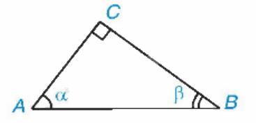 Lý thuyết Tỉ số lượng giác của góc nhọn Toán 9 Cánh diều 3