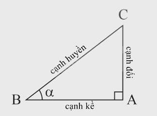 Lý thuyết Tỉ số lượng giác của góc nhọn Toán 9 Chân trời sáng tạo 1