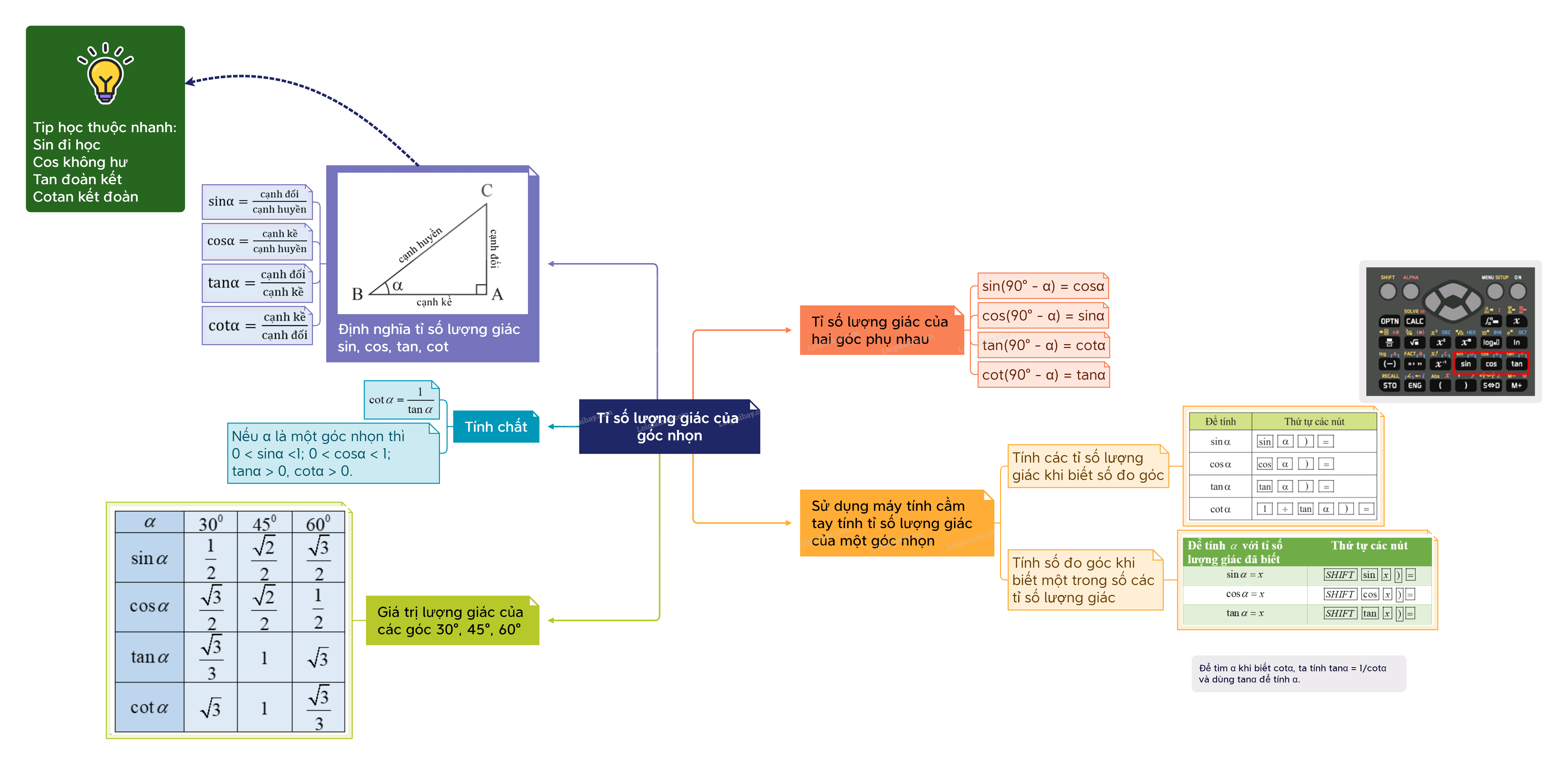 Lý thuyết Tỉ số lượng giác của góc nhọn Toán 9 Chân trời sáng tạo 8