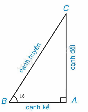 Lý thuyết Tỉ số lượng giác của góc nhọn Toán 9 Kết nối tri thức 1
