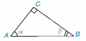 Lý thuyết Tỉ số lượng giác của góc nhọn Toán 9 Kết nối tri thức 4