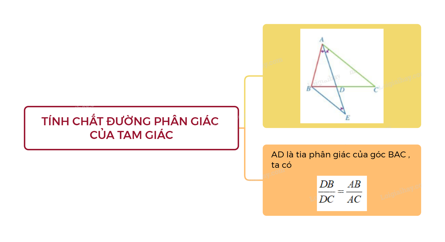 Lý thuyết Tính chất đường phân giác của tam giác SGK Toán 8 - Cánh diều 3