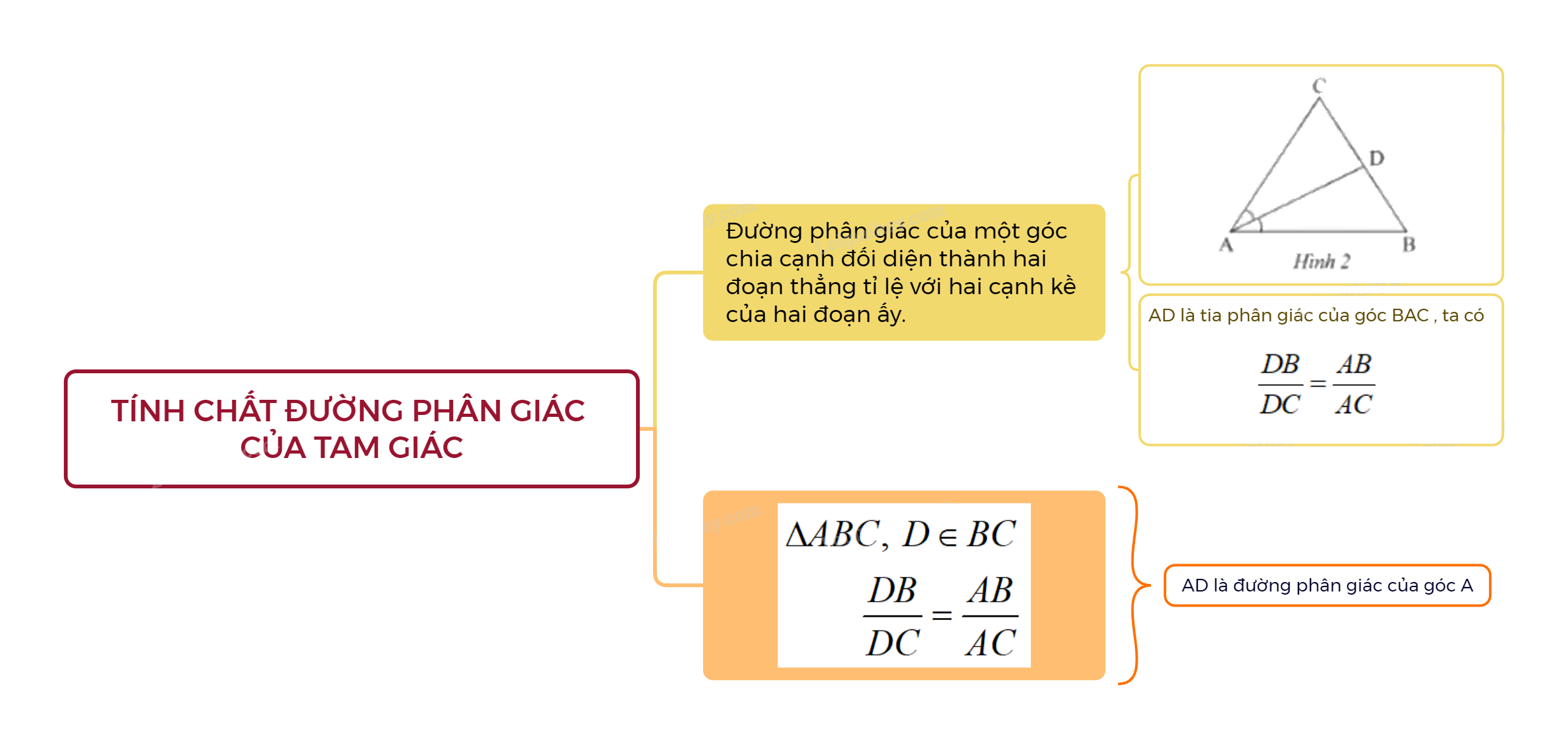 Lý thuyết Tính chất đường phân giác của tam giác SGK Toán 8 - Chân trời sáng tạo 3