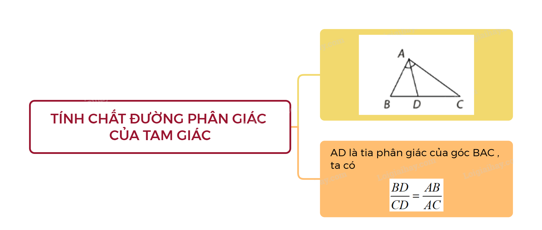 Lý thuyết Tính chất đường phân giác trong của tam giác SGK Toán 8 - Cùng khám phá 3