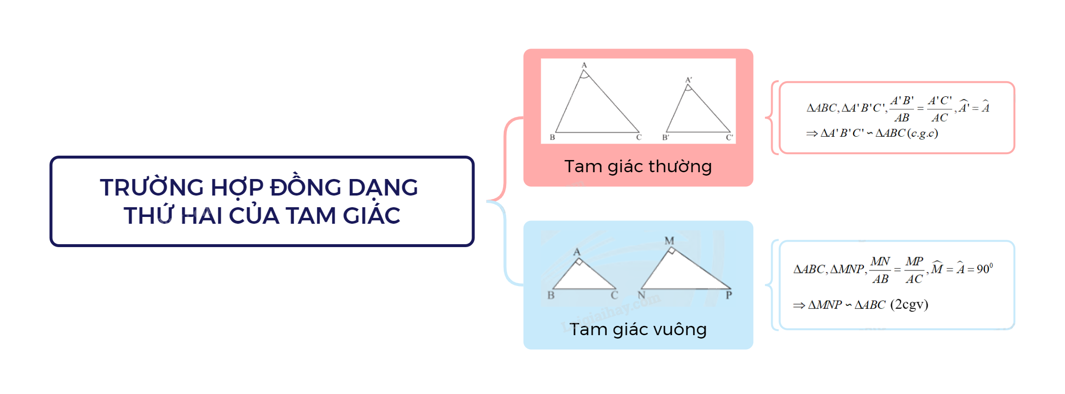 Lý thuyết Trường hợp đồng dạng thứ hai của tam giác SGK Toán 8 - Cánh diều 3