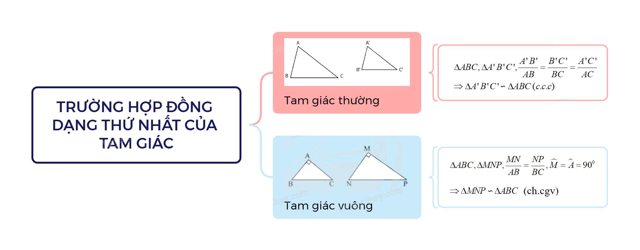 Lý thuyết Trường hợp đồng dạng thứ nhất của tam giác SGK Toán 8 - Cánh diều 3