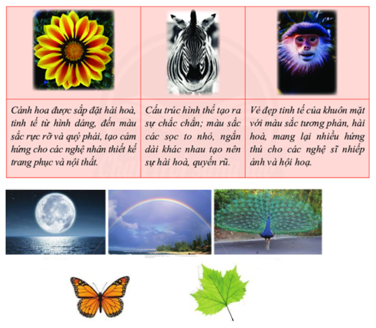 Lý thuyết Vai trò của tính đối xứng trong thế giới tự nhiên Toán 6 Chân trời sáng tạo 1