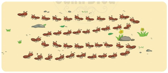 Ôn tập các số đến 100 (trang 6, 7) 6