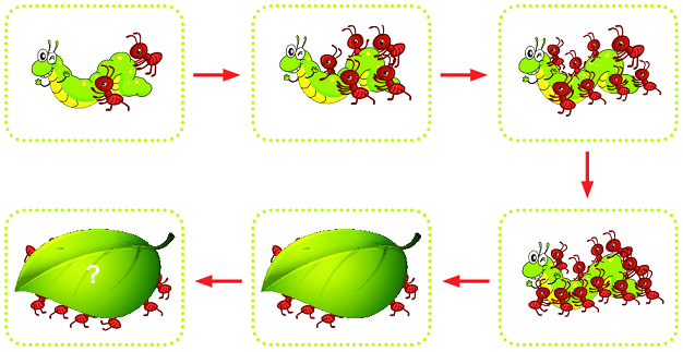 Ôn tập các số trong phạm vi 100 8