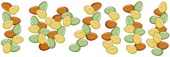 Ôn tập các số trong phạm vi 100 8 1