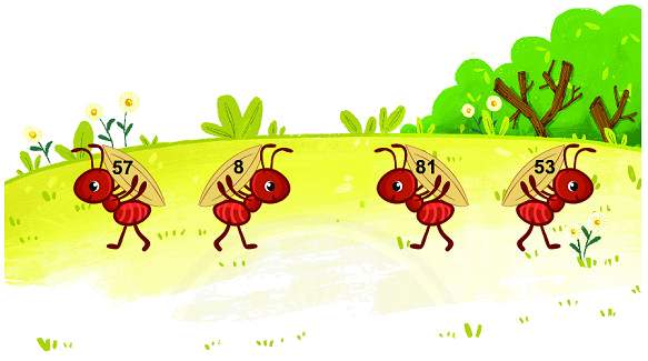 Ôn tập các số trong phạm vi 100 9