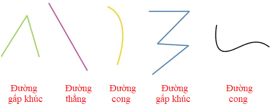 Ôn tập về hình học và đo lường 3