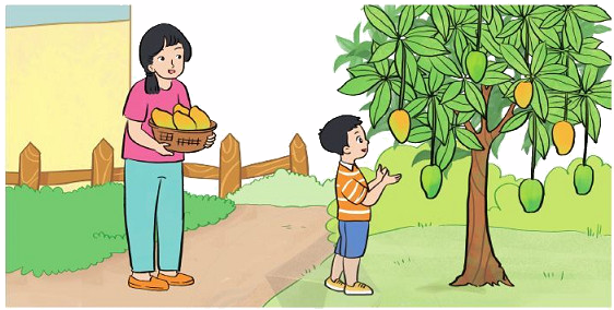 Ôn tập về phép cộng, phép trừ trong phạm vi 100 4 1