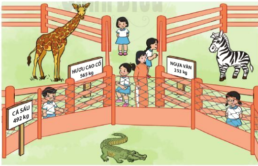 Ôn tập về số và phép tính trong phạm vi 1000 5