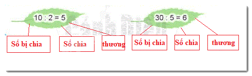 Số bị chia, số chia, thương 0 2