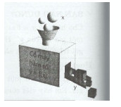 Thư giãn 1 chủ đề 6 2