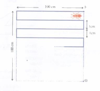 Thư giãn trang 175 Tài liệu dạy – học toán 6 tập 1 1