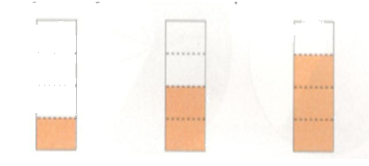 Thử tài bạn 1 trang 11 Tài liệu dạy – học toán 6 tập 2 1